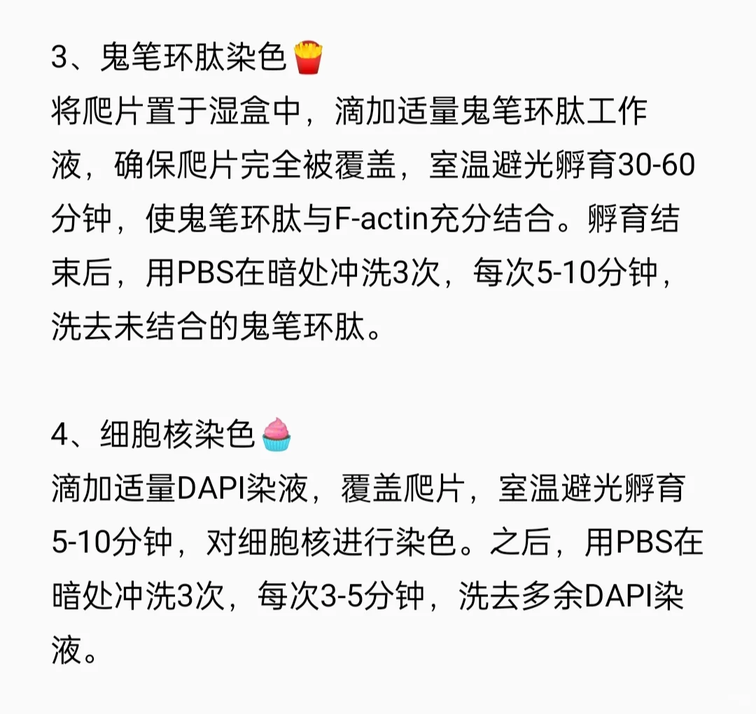 鬼笔环肽染色实验流程