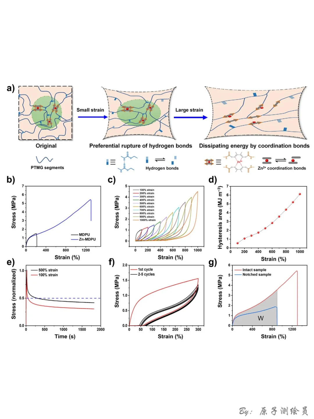 AM：“一石五鸟”的Zn-MDPU弹性体