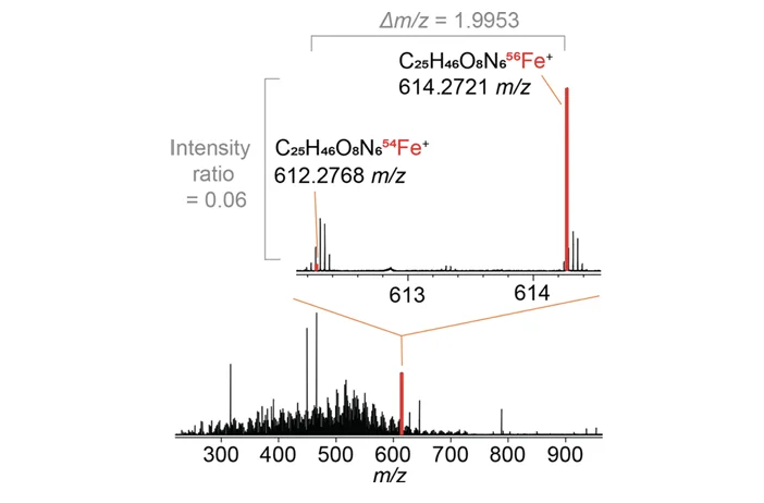 傅里叶变换离子回旋共振质谱（FTICR MS）