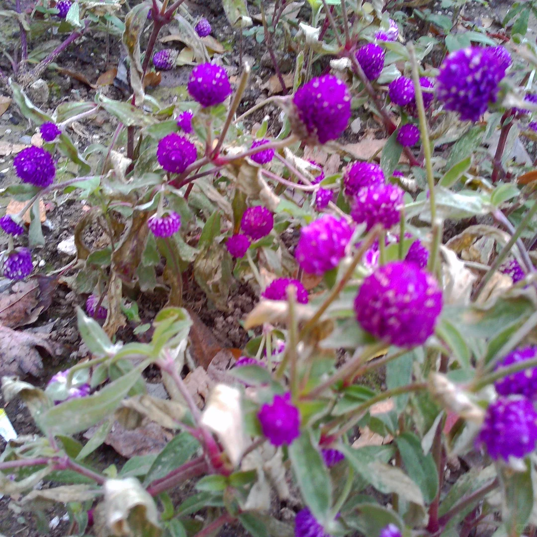 当你在阴天带一堆奇怪设备去颐和园