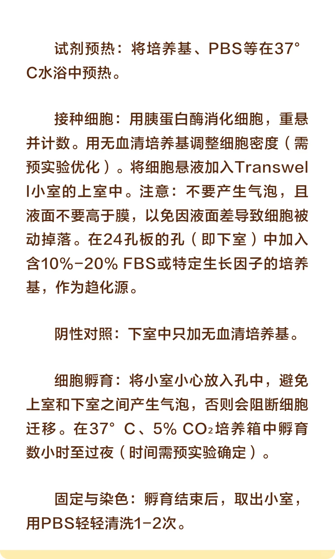 Transwell实验（一）