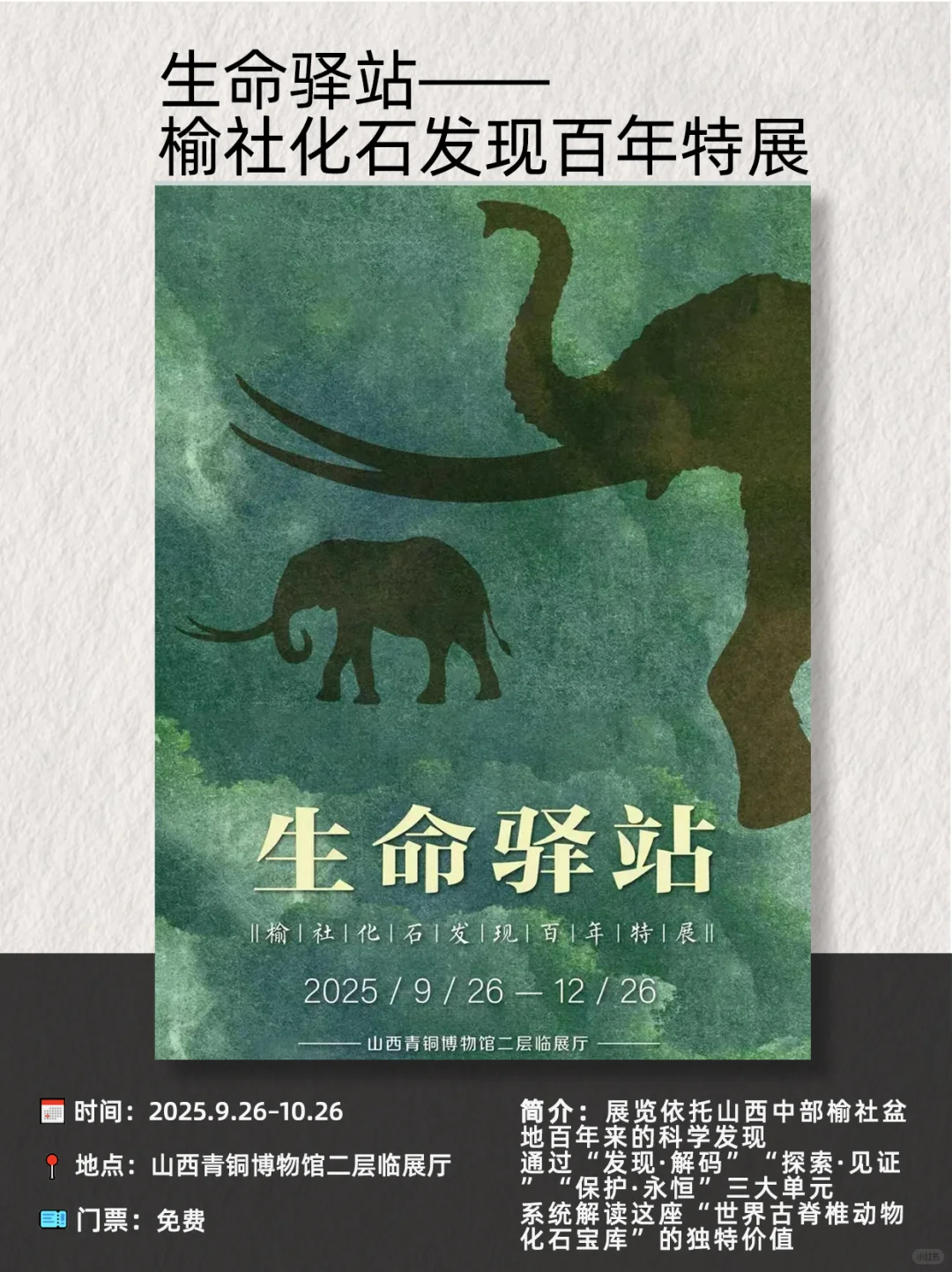 太原11月看展指南|12场艺术盛宴不可错过✨