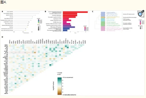Var∣Decrypt：探索全外显子组变异及优先级