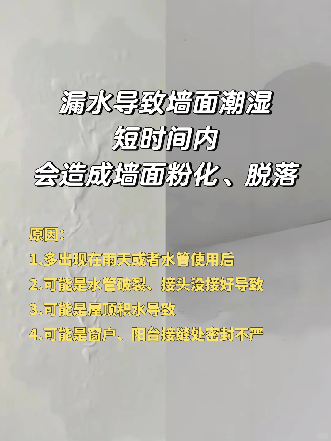 雨季又来了！墙面渗水/漏水怎么办？