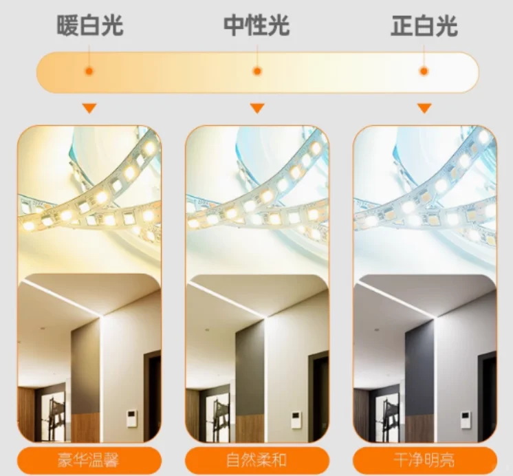 大家筒灯射灯灯带轨道插座都买的什么呢