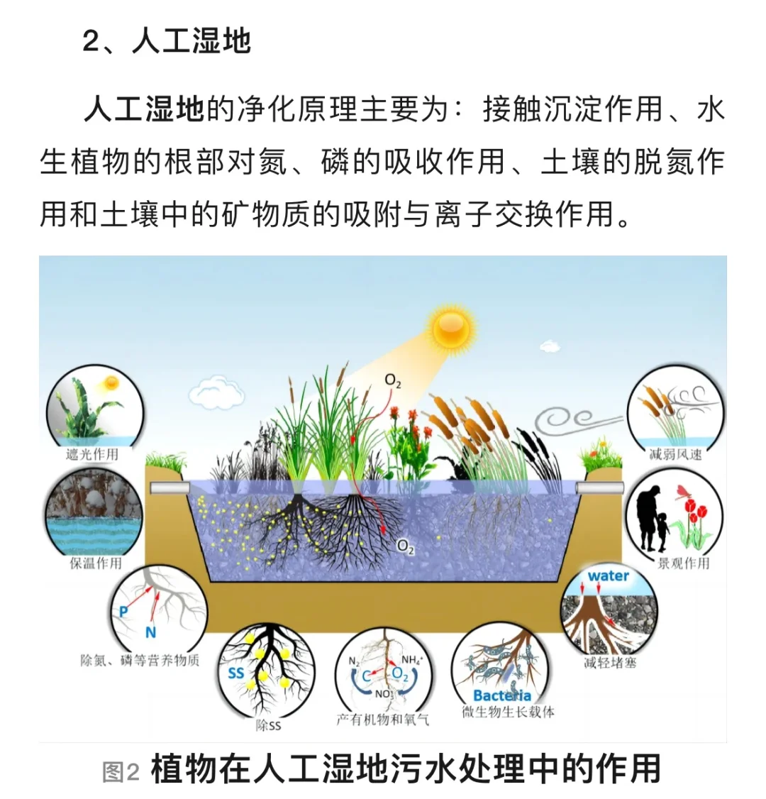 黑臭河道治理技术 ，要点在于生态修复