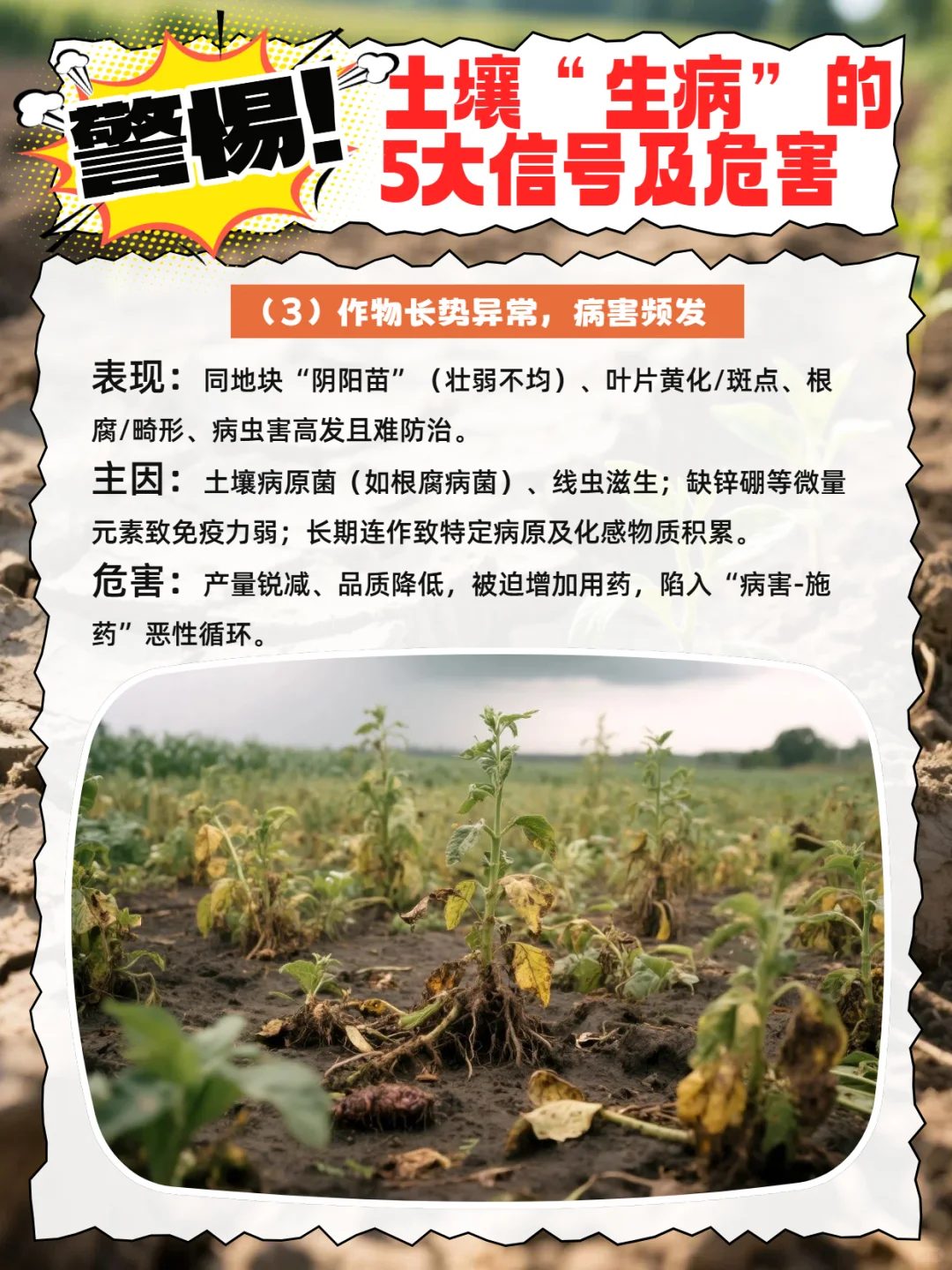 警惕！土壤“生病”的5大信号及危害
