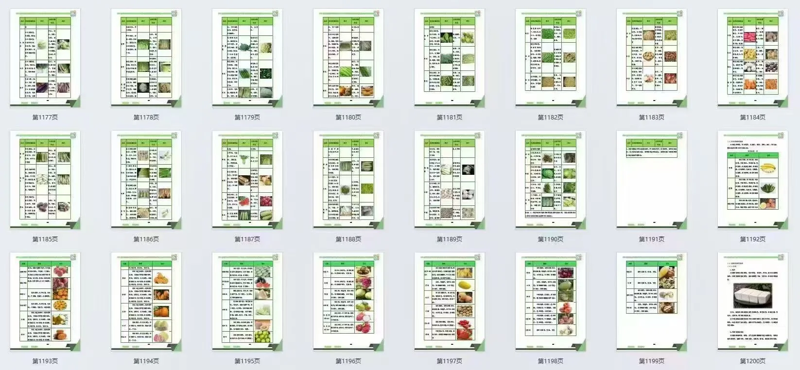 食材配送项目1600页高标准范本！