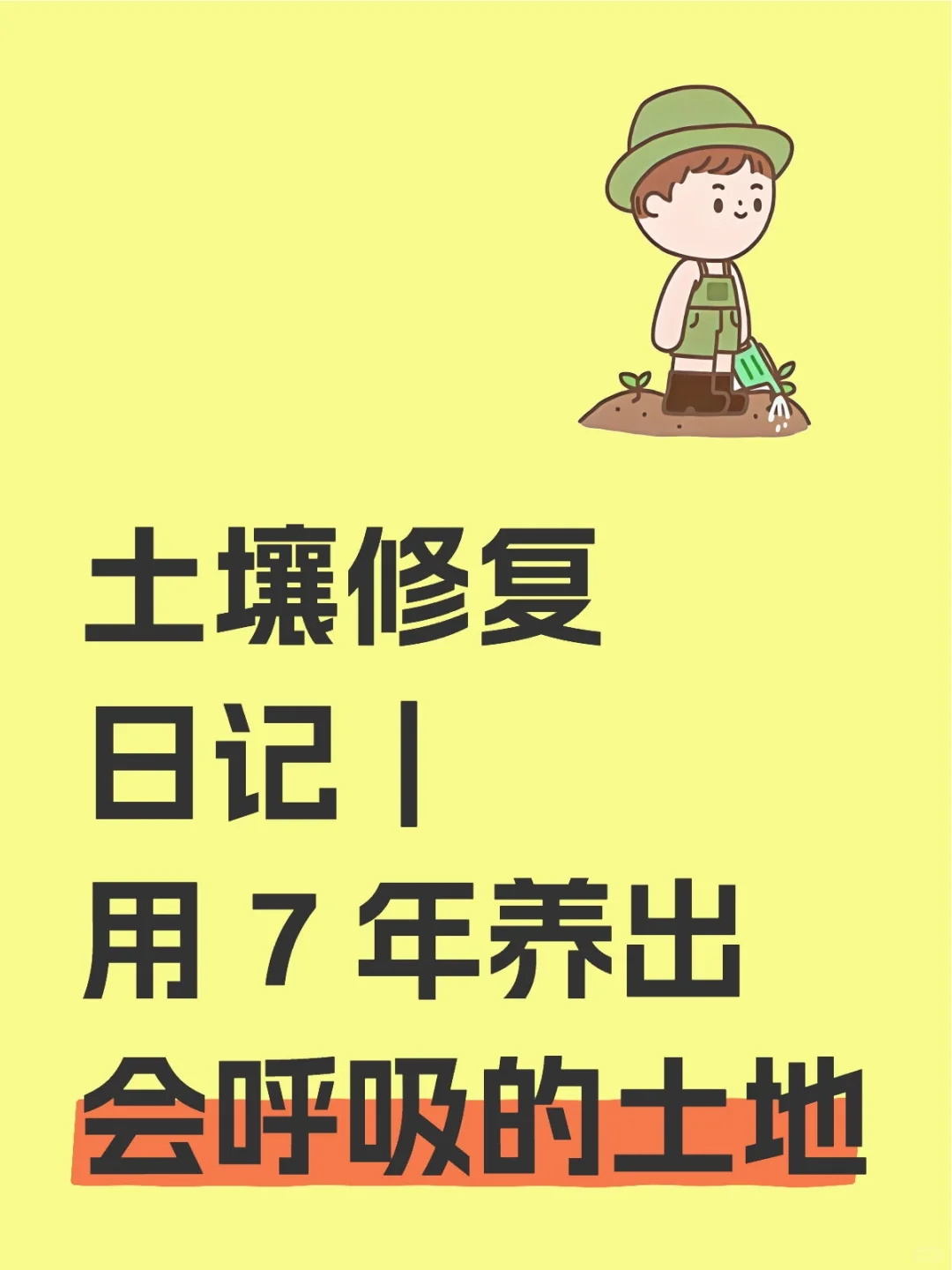土壤修复日记｜养出会呼吸的土地