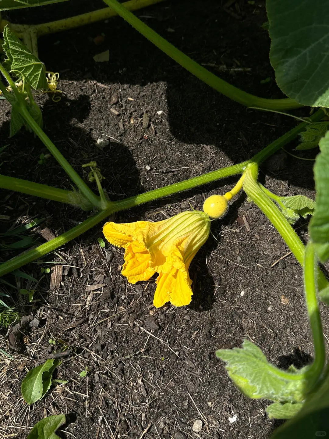 这是我们对土地的回应！