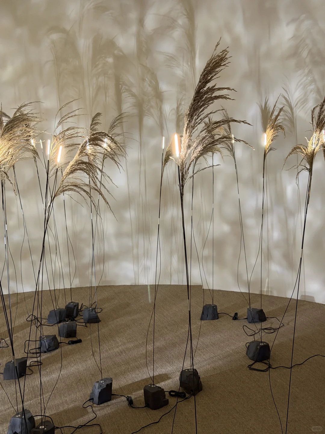 上海新展｜来自马来西亚的疗愈之旅