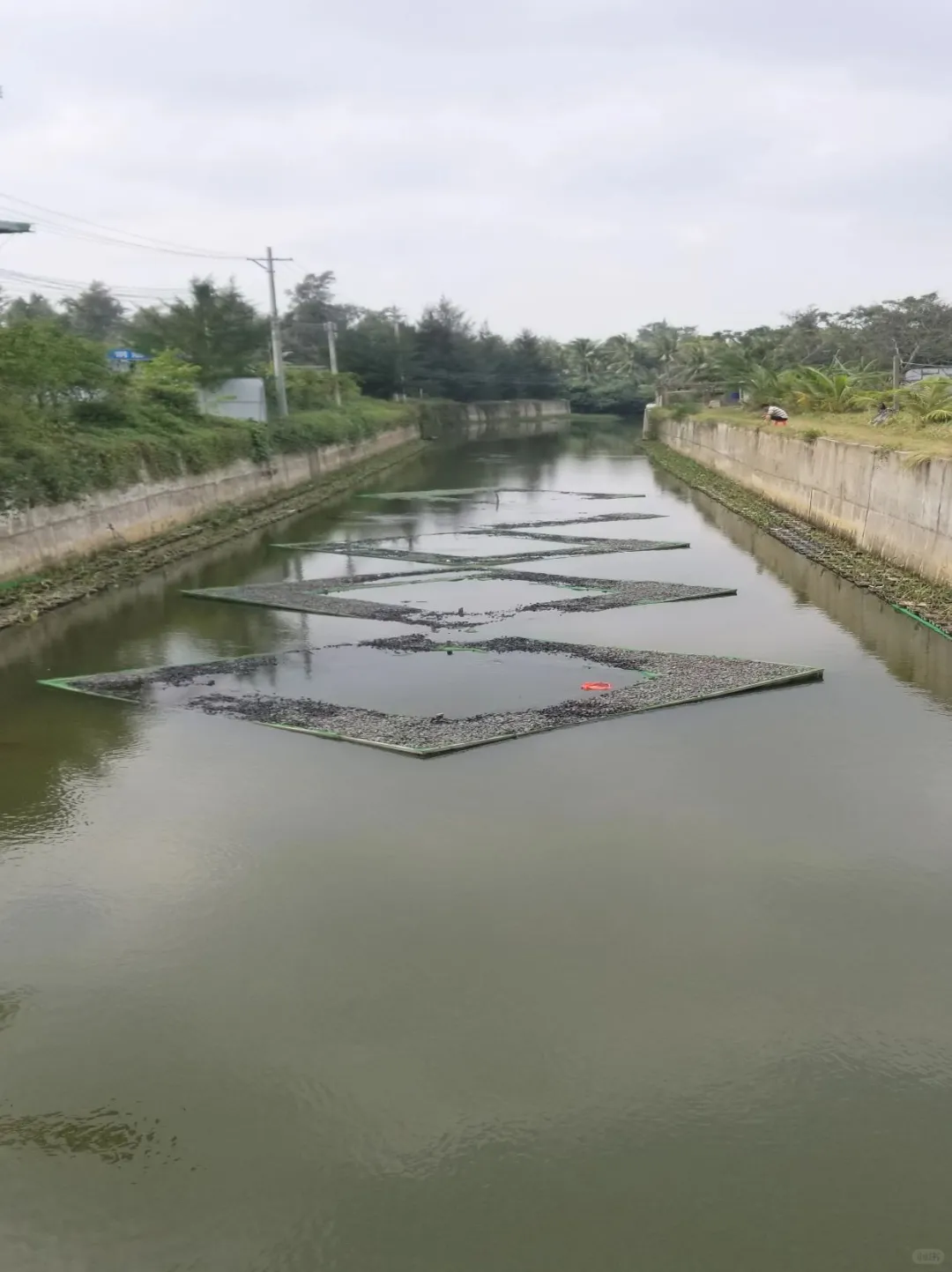 河道治理不踩坑！水质问题对症下药指南