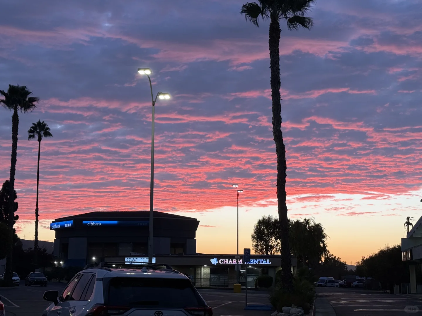 干了～续命咖啡☕️