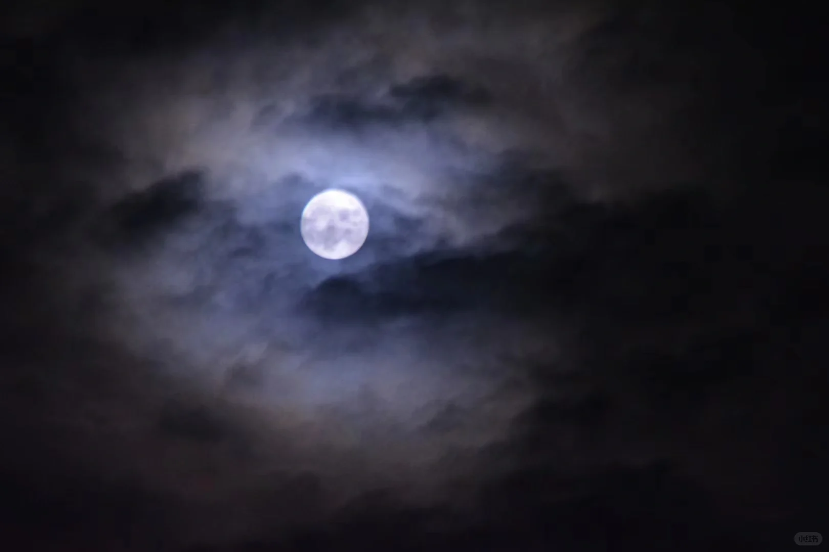 智能电网持续走强，国内国外需求共振。