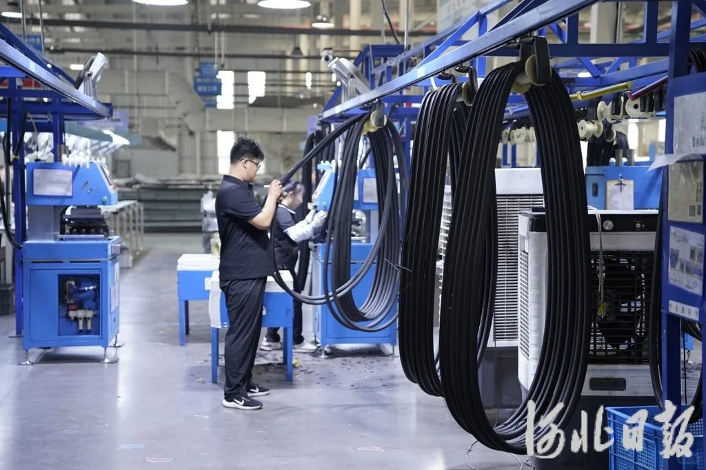 新闻纵深·县域特色产业新力量