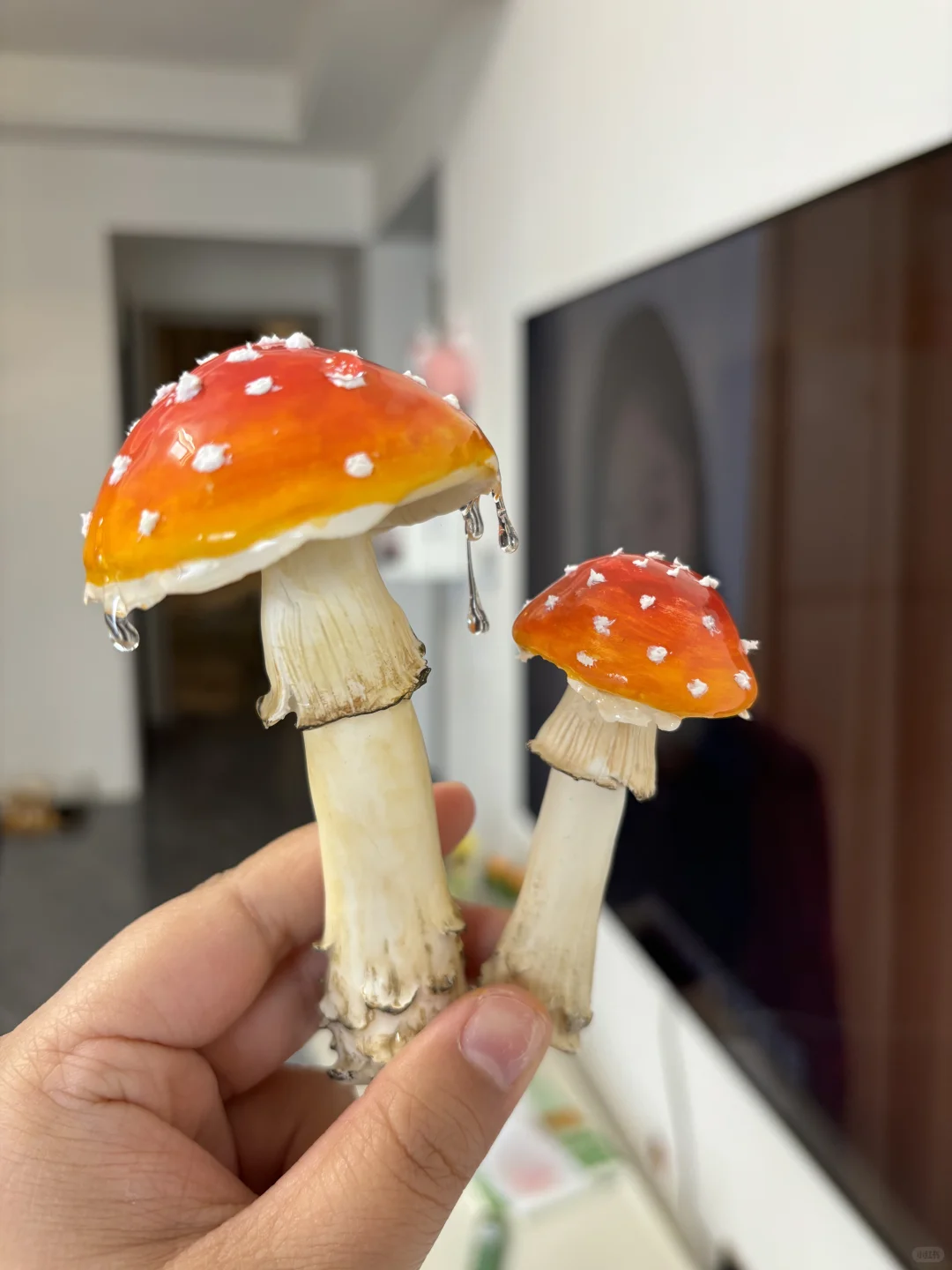 蘑菇蘑菇?‍?冰箱怎么长蘑菇了？（第二弹）