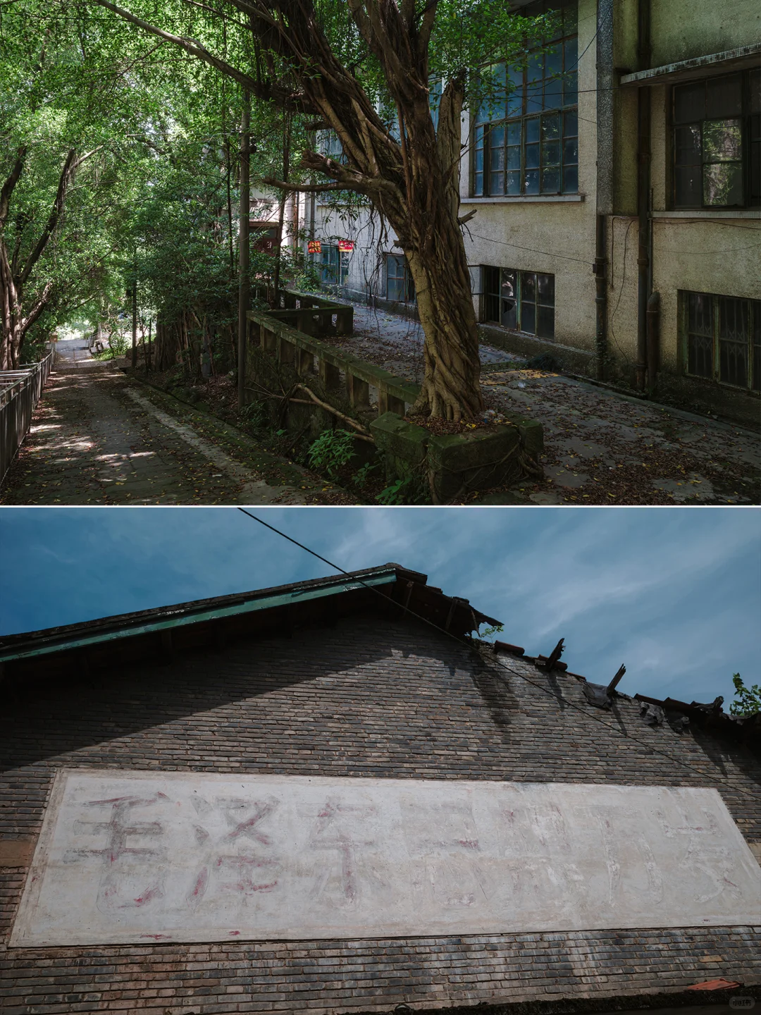 |川仪系列|川仪一厂