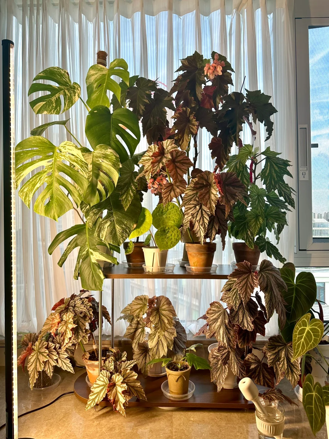 一个正经的温湿度计对比