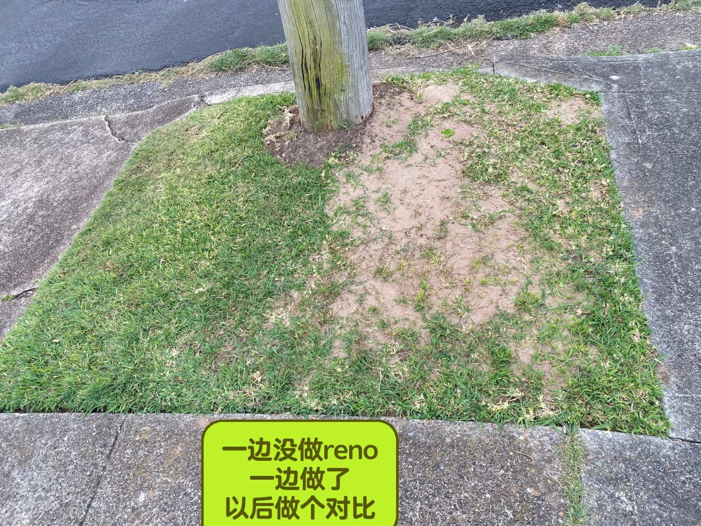 草坪修复与补给