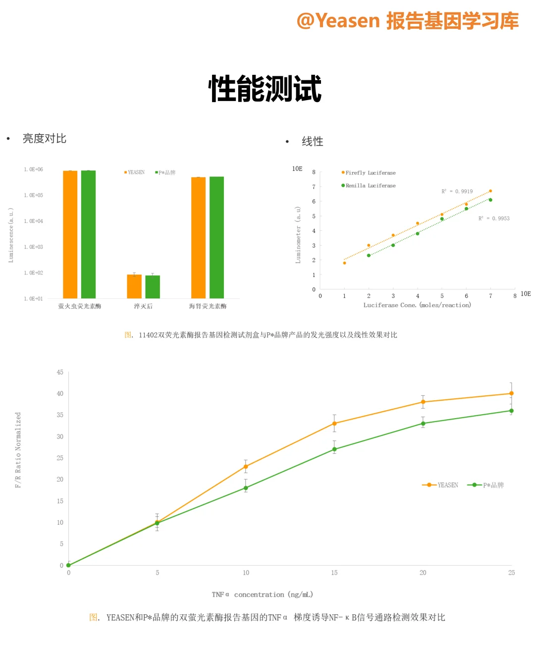 荧光素酶报告基因检测试剂盒试用装免费领取