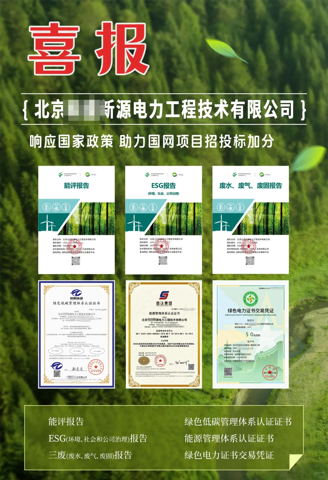 国网招投标—绿色报告目录