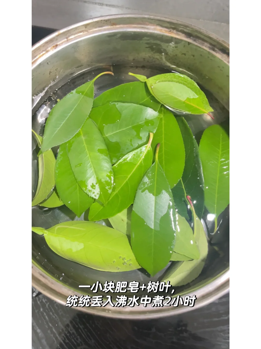 自然手工——零失败制作叶脉书签