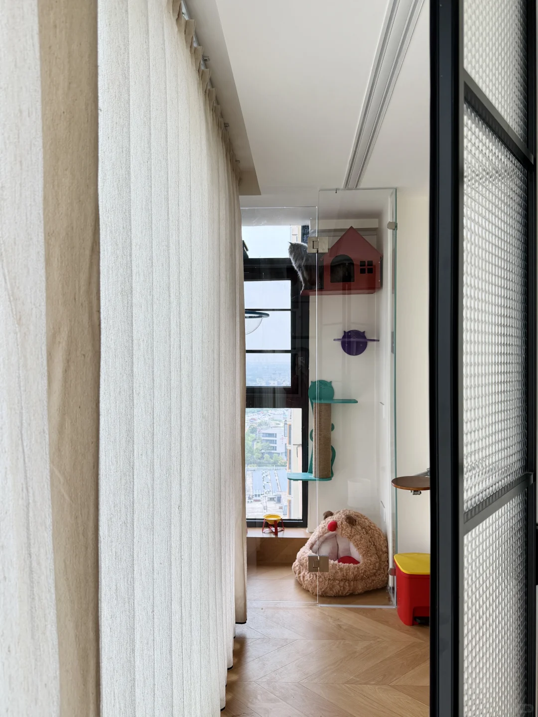 ?✨0.5平玻璃猫房 小空间改造✅附尺寸?