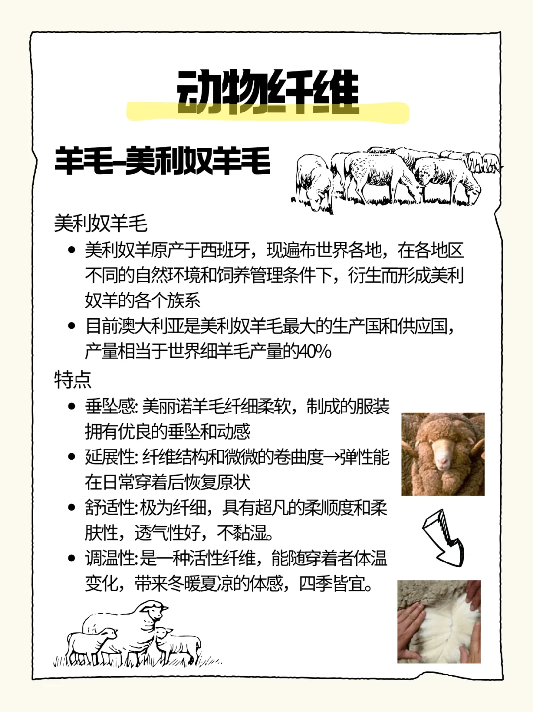 原材料‖动物纤维(美利奴羊毛)