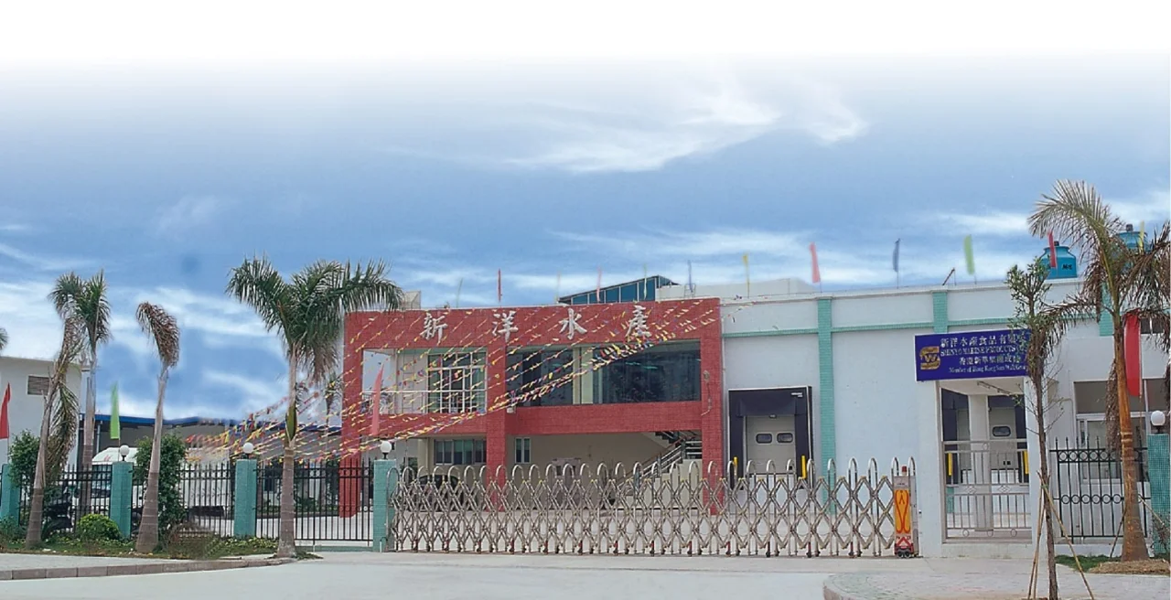 盒马鲜生|中山石岐乳鸽