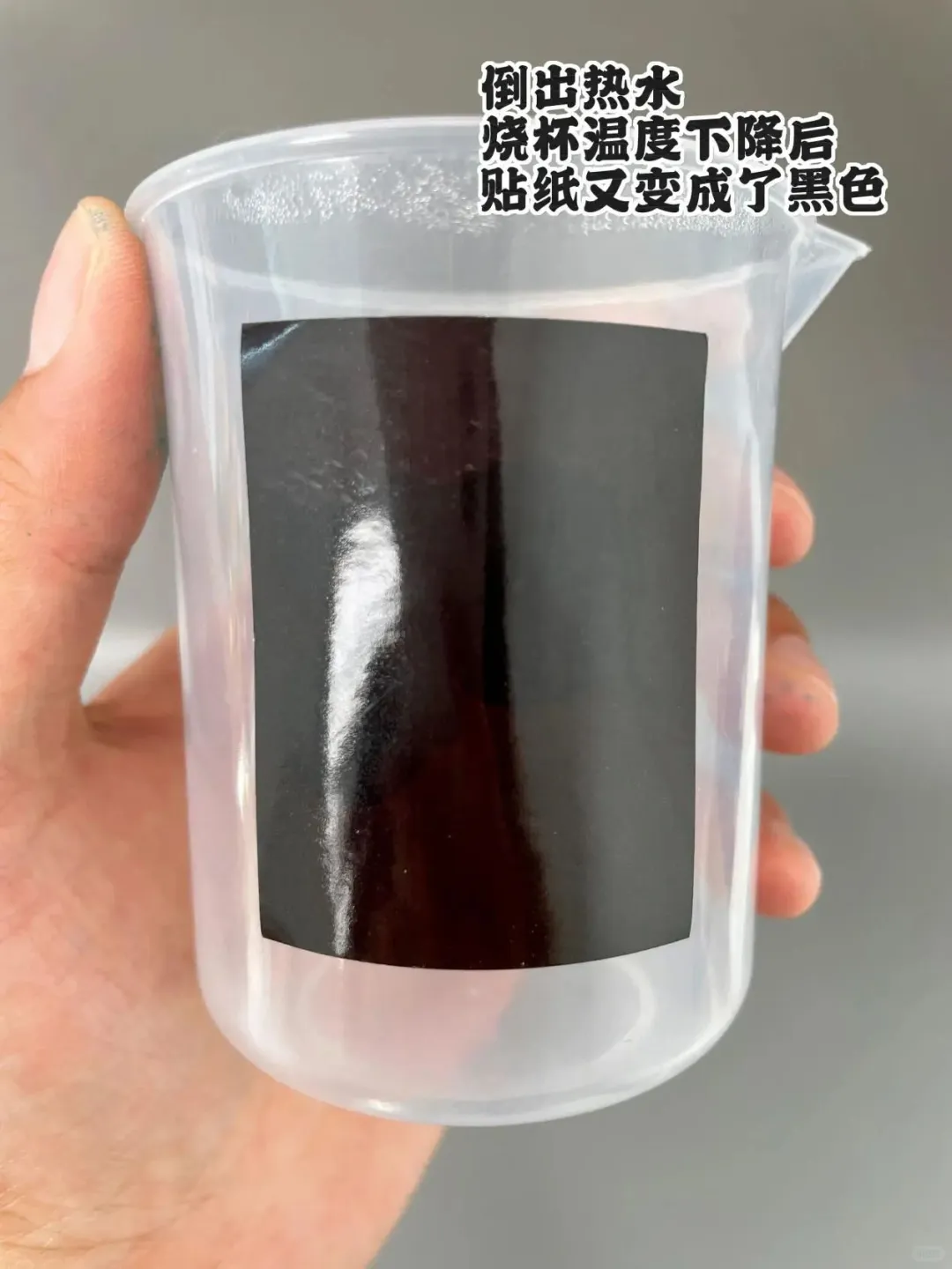 ✨?【神奇变色小魔术，一起解锁科学奥秘！】?✨