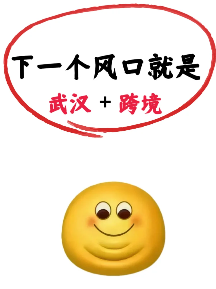 下一个风口就是武汉+跨境