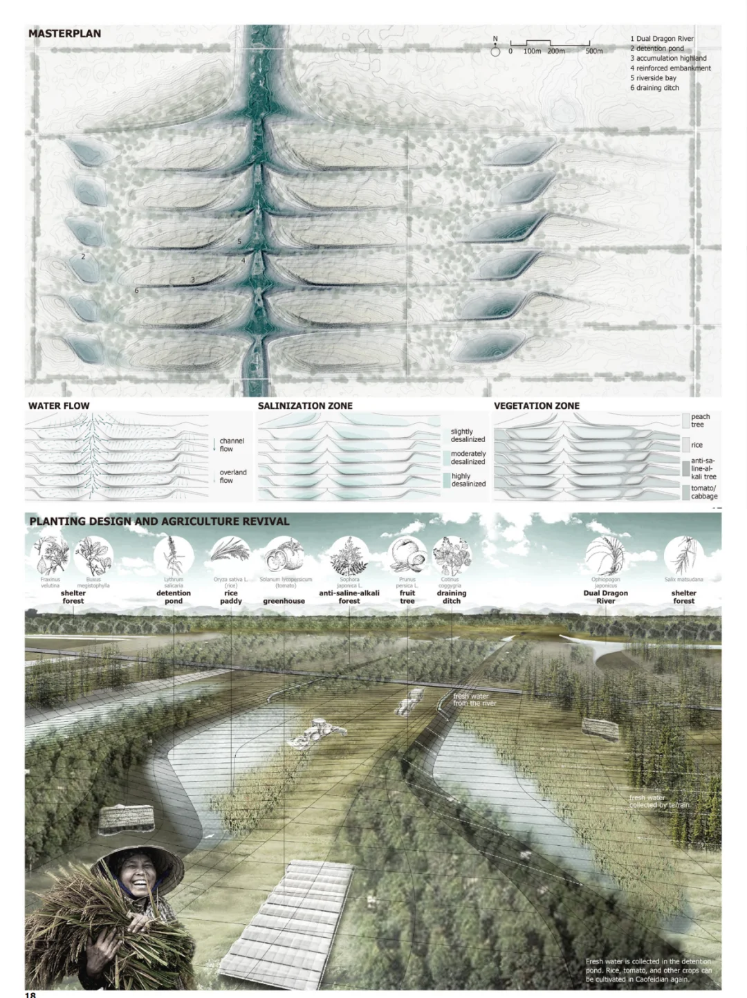 “三步走”盐碱地修复｜哈佛港大TUD景观录取