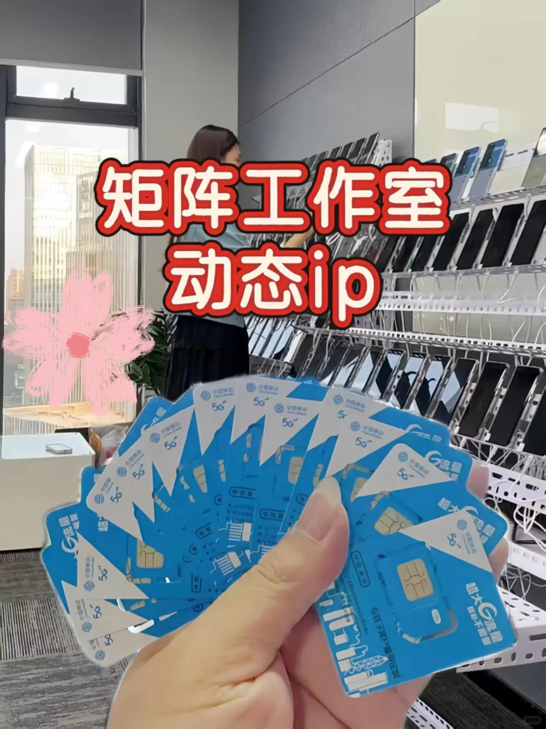 动态IP流量卡｜工作室如何避雷！！！