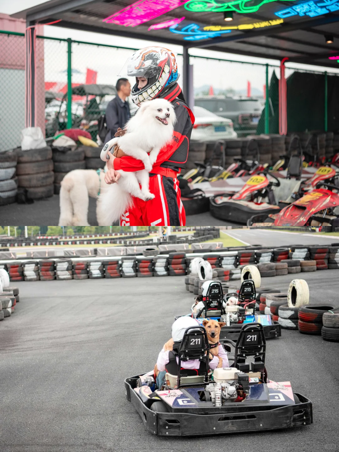 川南宠博会！泸州！太多可爱的毛孩子啦