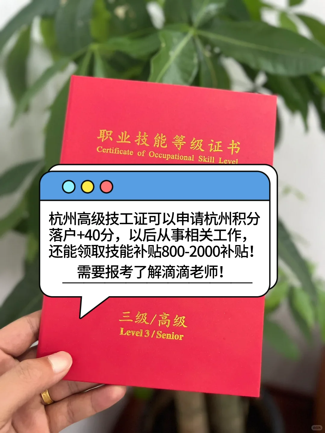 杭州紧缺高级技工证?领补贴！2025最新