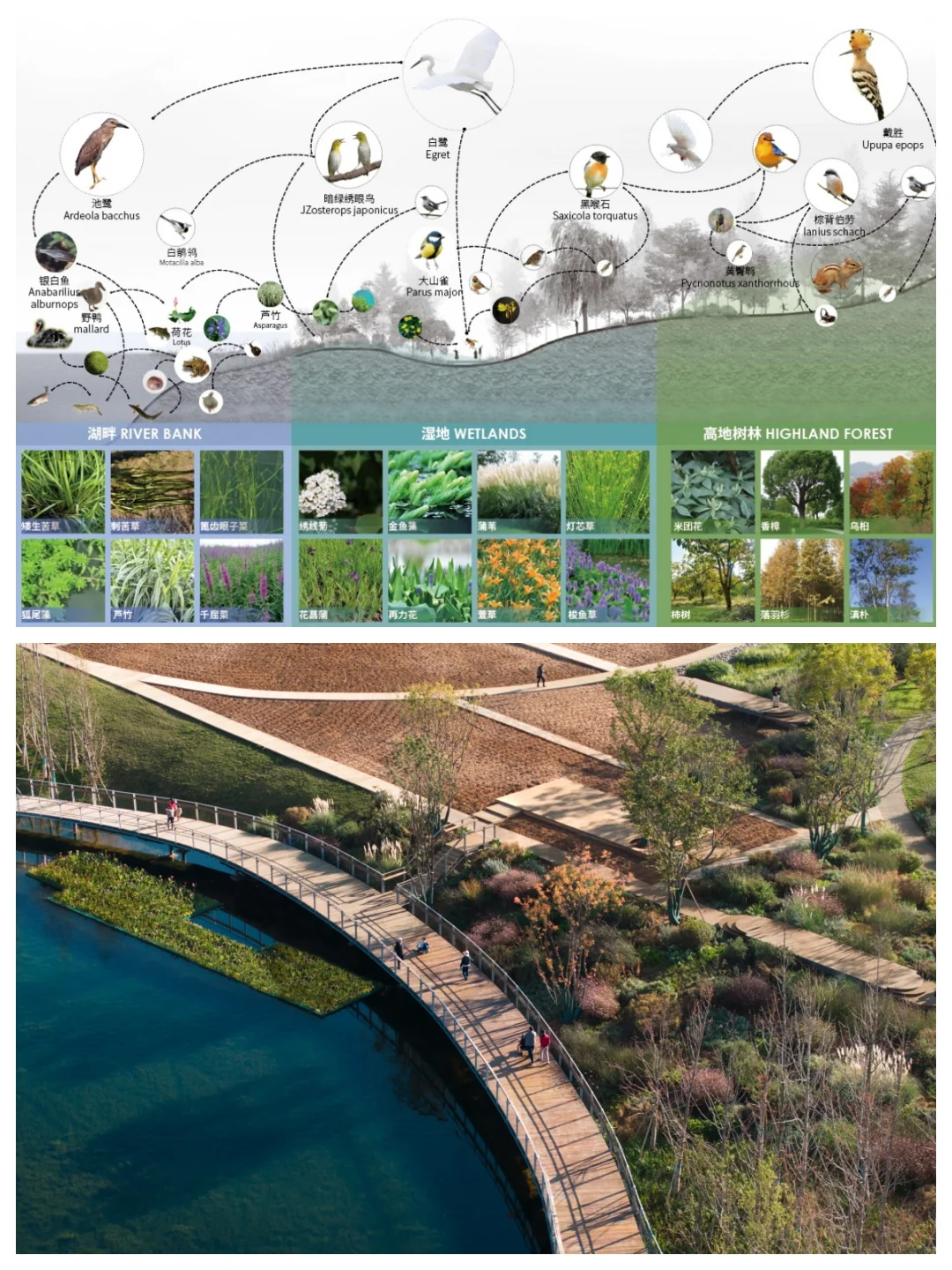 典型案例：昆明“两湖”水环境整治生态建设