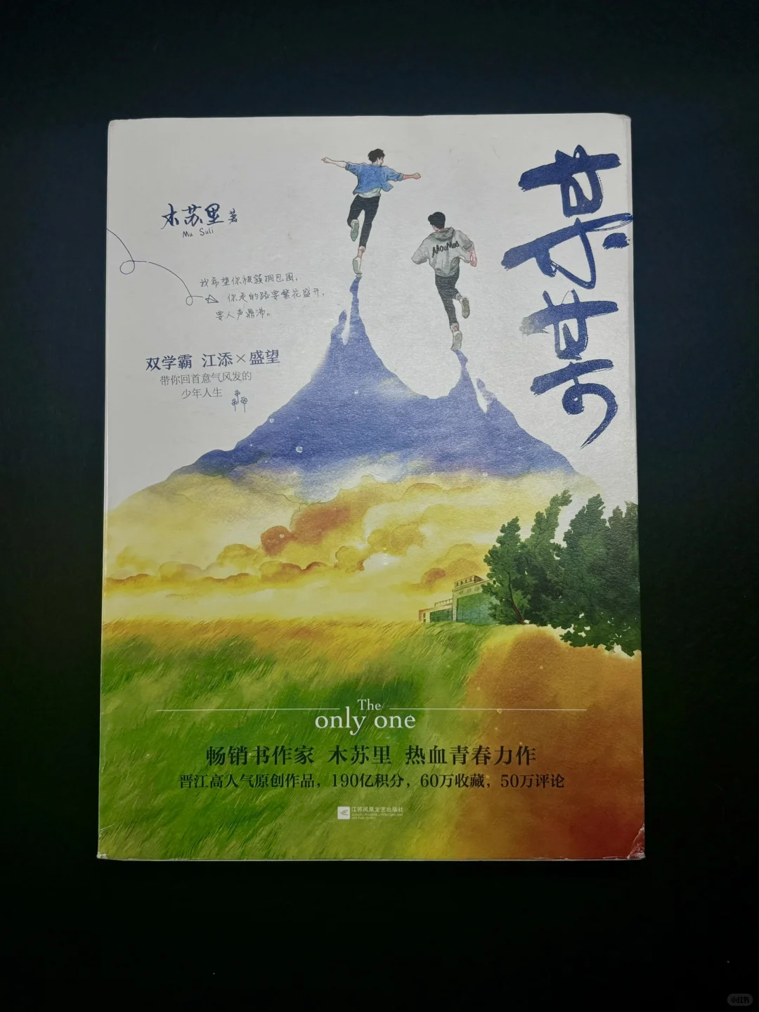 ?《某某》正版党狂喜！教你辨防伪标书