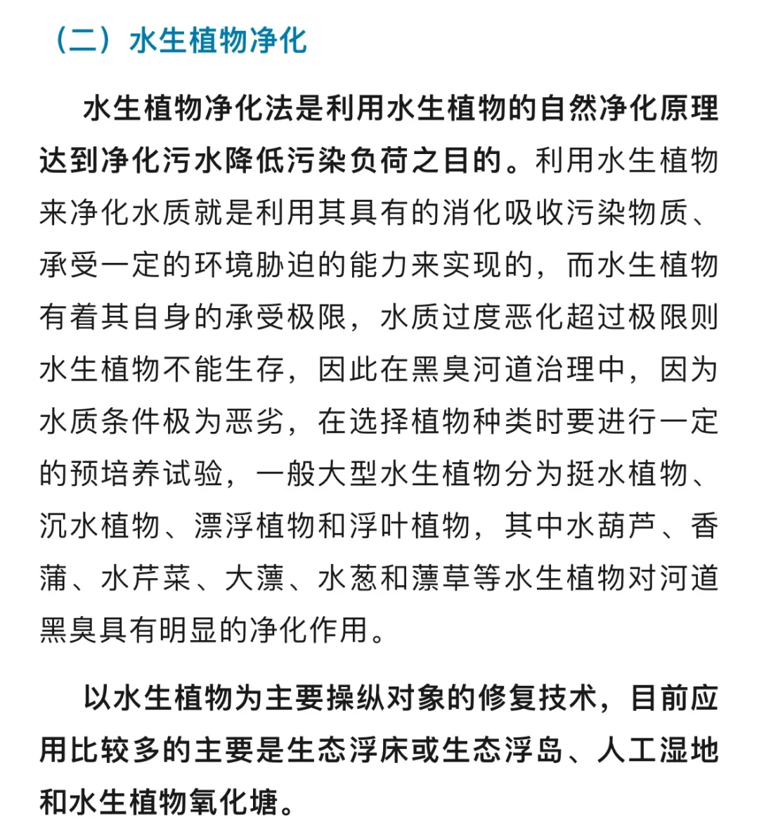 黑臭河道治理技术 ，要点在于生态修复
