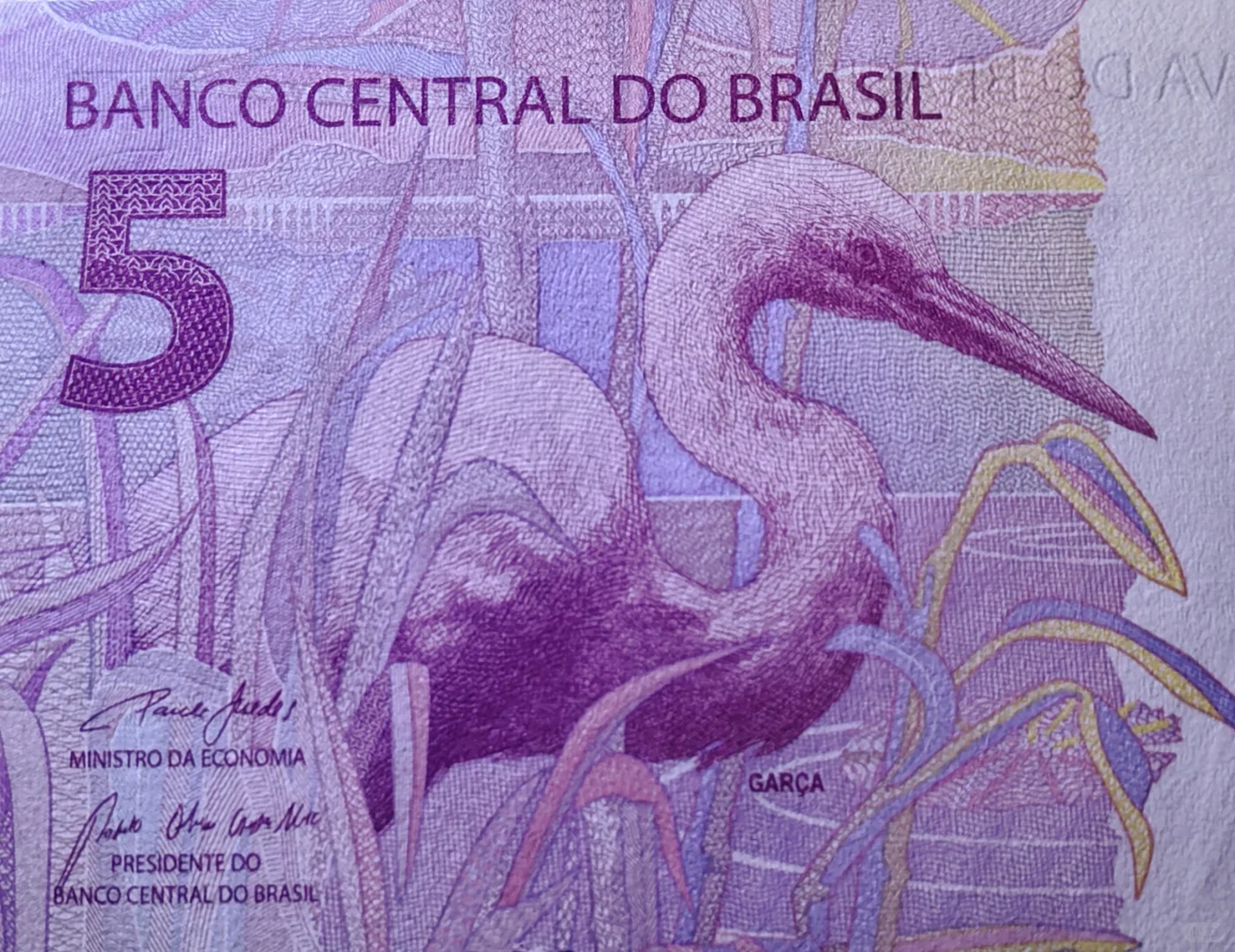 每日一钞:巴西5雷亚尔纸币