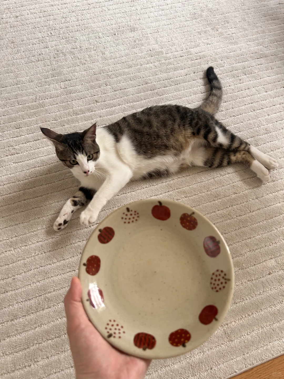 好奇怪 杯子和盘子小小的 幸福感却大大的