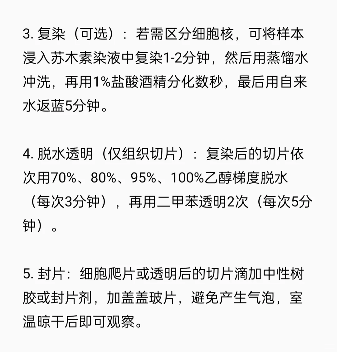 TRAP染色实验流程