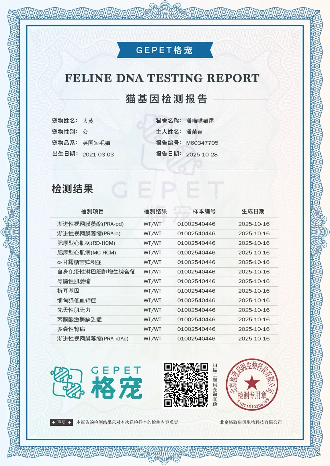 硬核检测，满分通关～