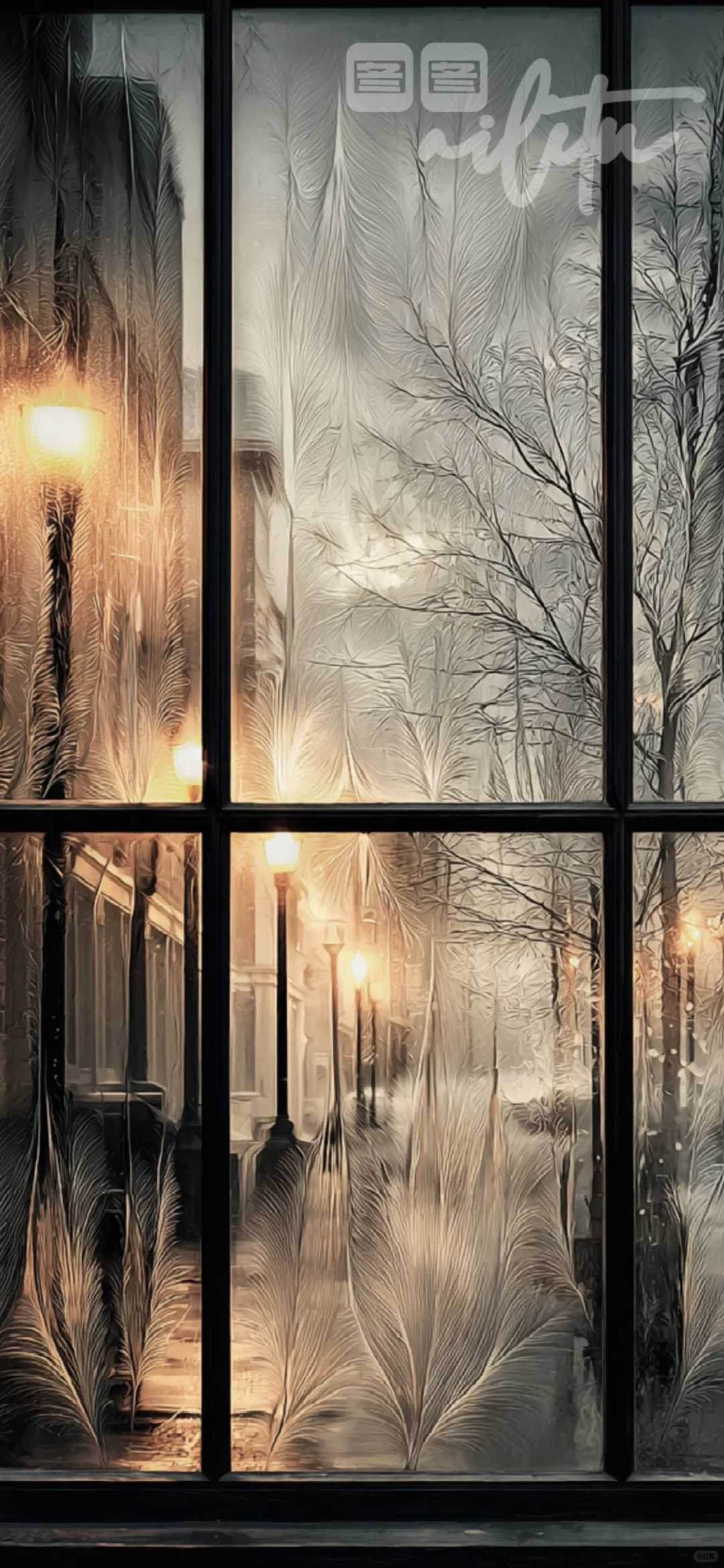窗上霜花，城市的冬日絮语