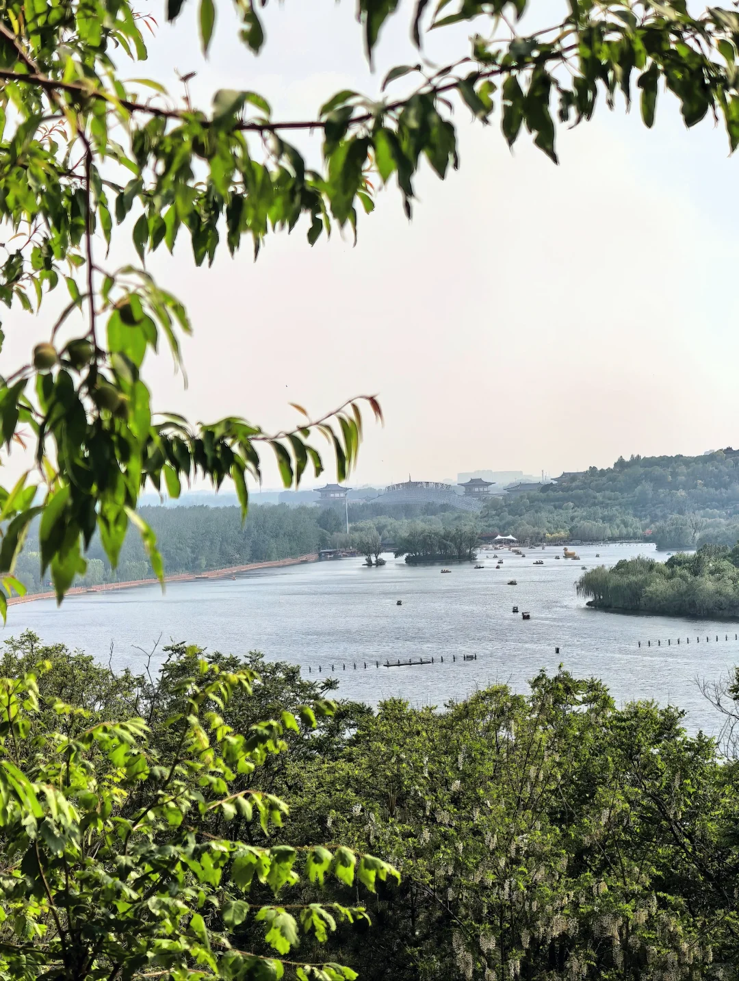 生态环境修复典范