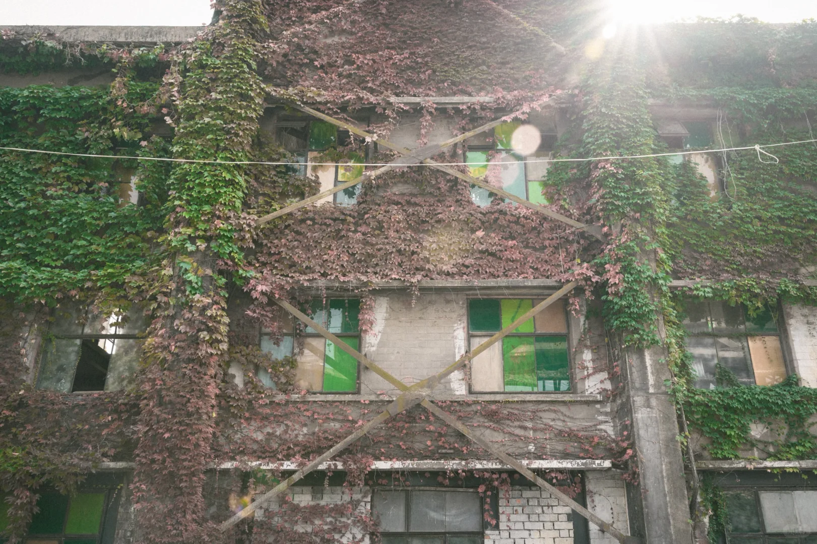 残骸与新生，大自然改造了废弃工厂