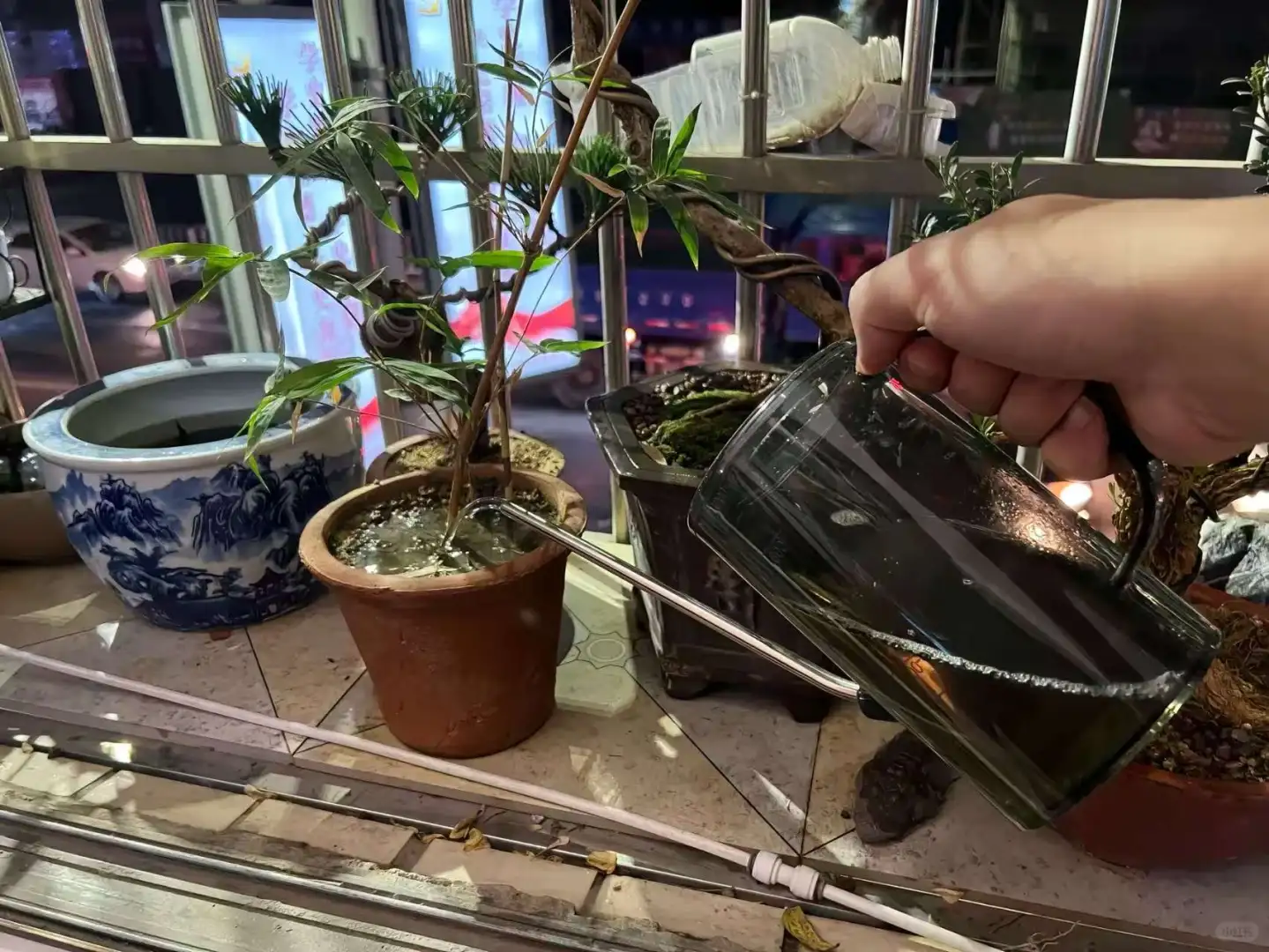 花盆土壤板结怎么办？