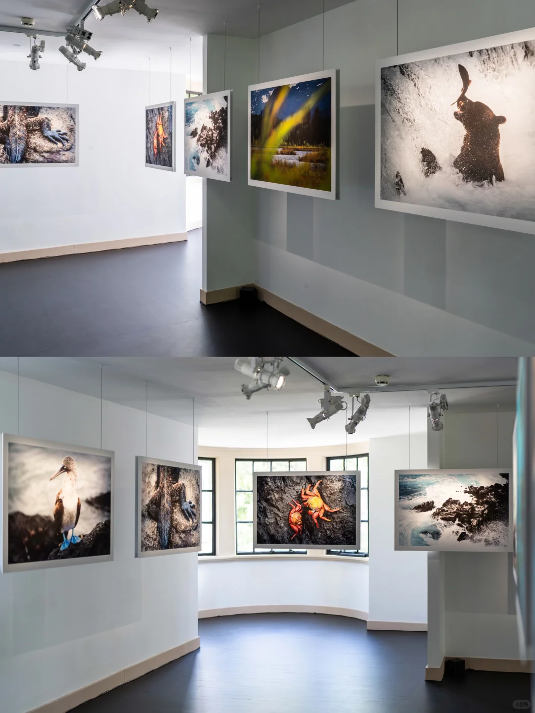 限时免费|Prada荣宅竟隐藏艾美奖提名摄影展