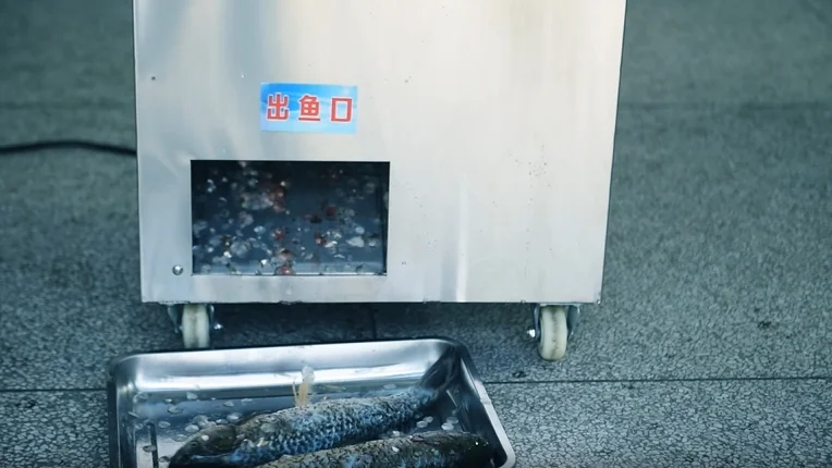 福州鱼丸:乡村振兴中特色美食的工业化新篇