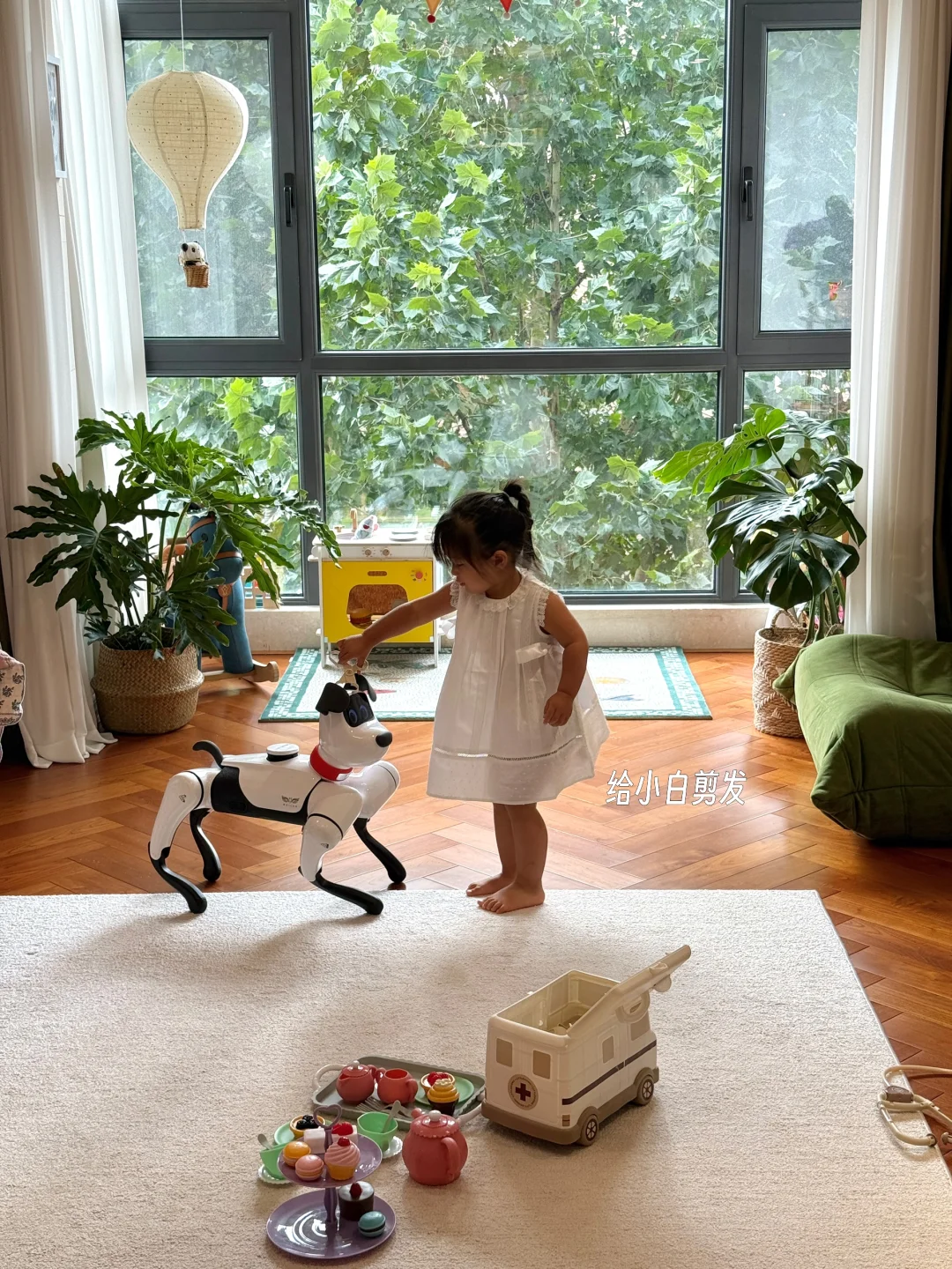 没有二胎但有小狗?恭喜女儿过上梦想童年！