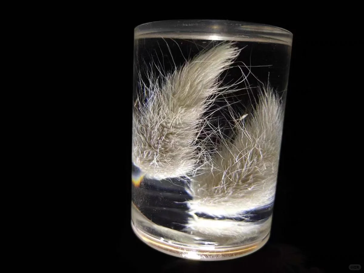 立体滴胶标本制作过程的避坑指南总结！！！